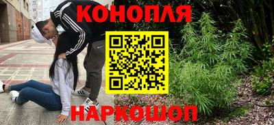 шишки Гусев
