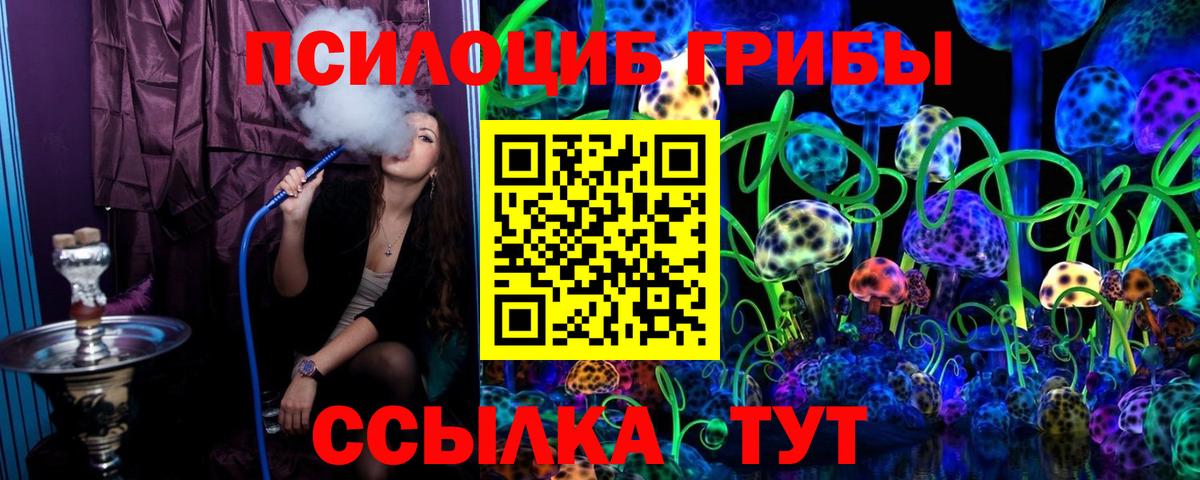 Псилоцибиновые грибы GOLDEN TEACHER  Вход с VPN  как найти наркотики  Надым 